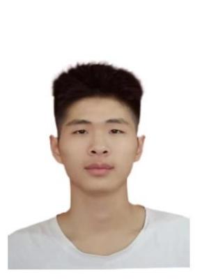 ӦƸʦСѧʦʸ